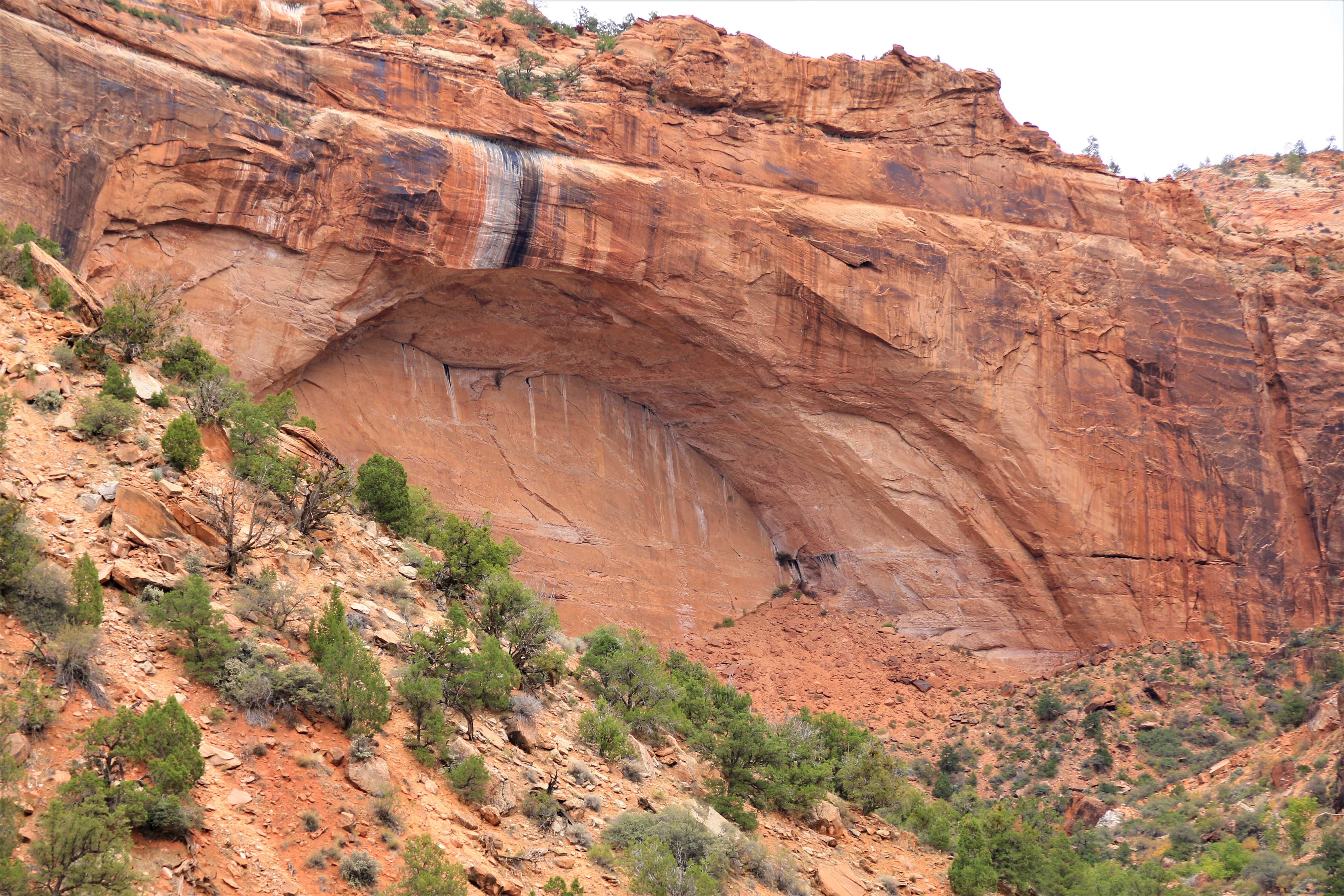 Zion NP